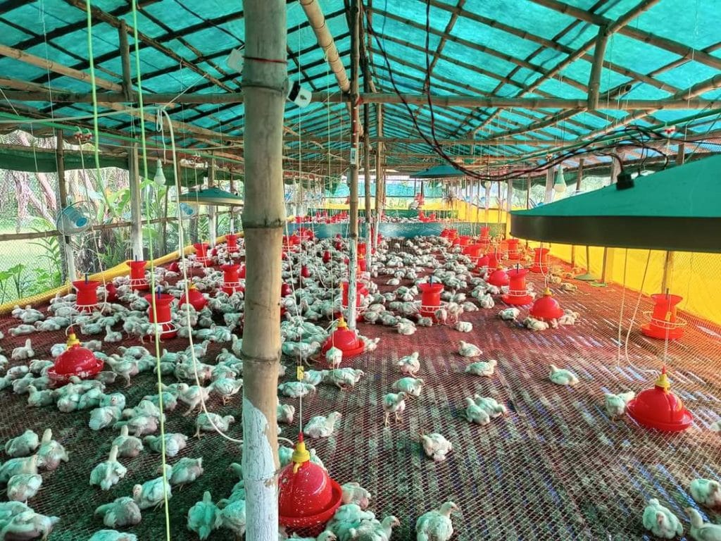 8673611b-c3ea-4e43-8632-18d6578950ce