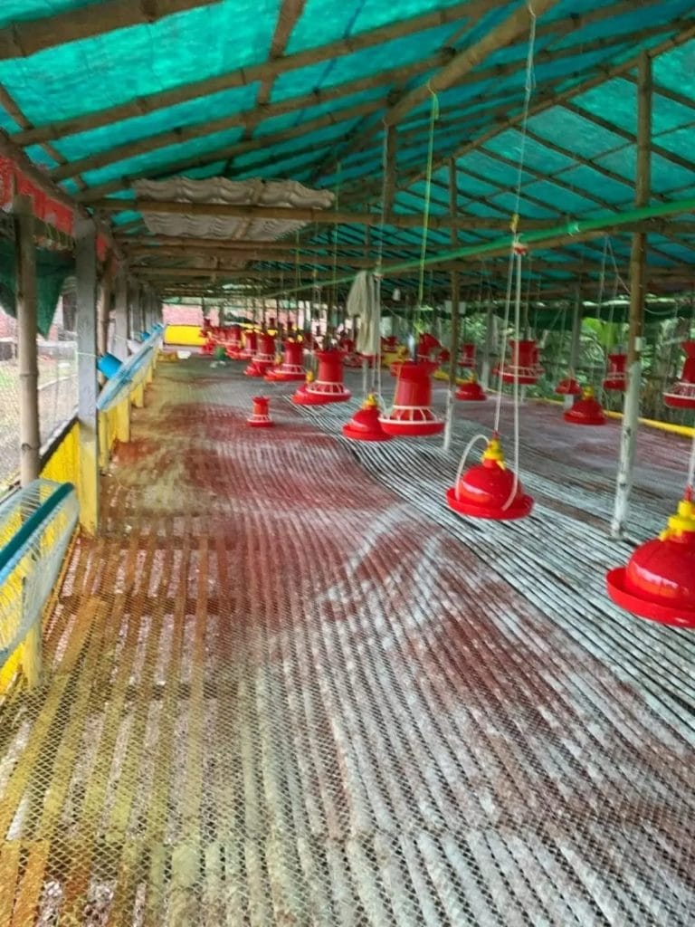 a5863789-40fc-4385-8afa-f9f6d14ef1ee