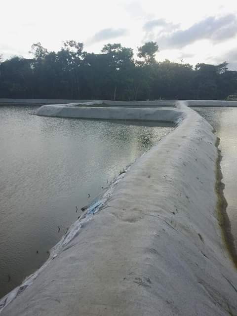 de3a7e16-f8c7-49dd-a7f1-9563381e2e2c