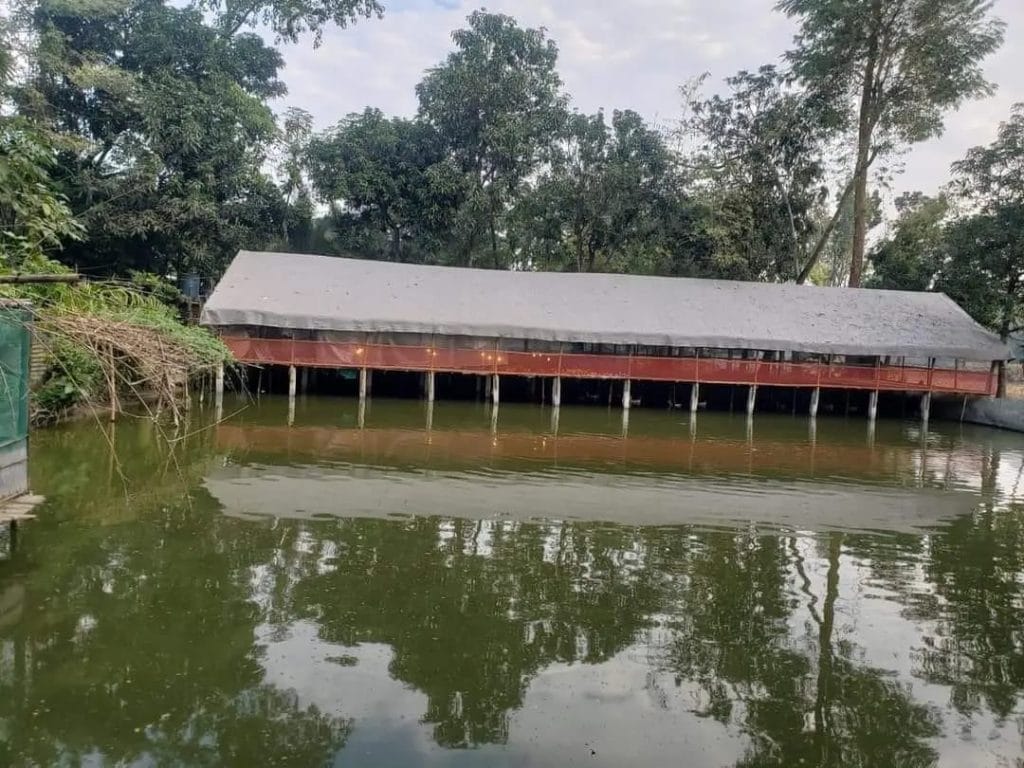 e4ca34ac-7948-452d-b156-e4ed5c677266